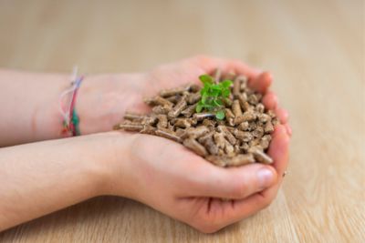 Personne tenant du pellet certifié et de qualité dans les mains.